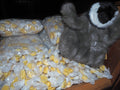 Buttered Popcorn Ball Taffy
