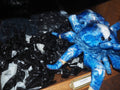Licorice Taffy
