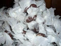 Chocolate Caramels