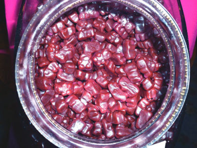 Huckleberry Bears