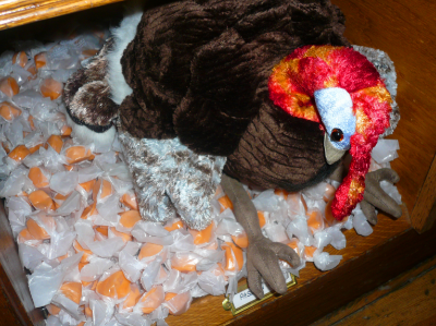 Orange Cream Taffy