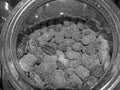 Sanded Hard Licorice