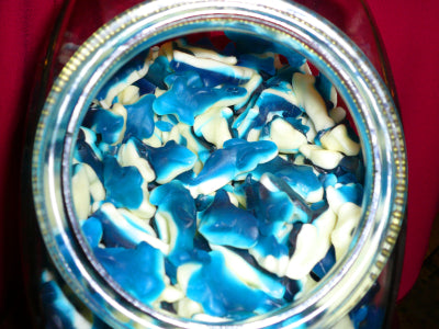 Gummi Sharks