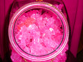 Strawberry Rock Candy
