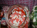 Watermelon Rings