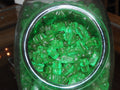 Watermelon Gummi Bears